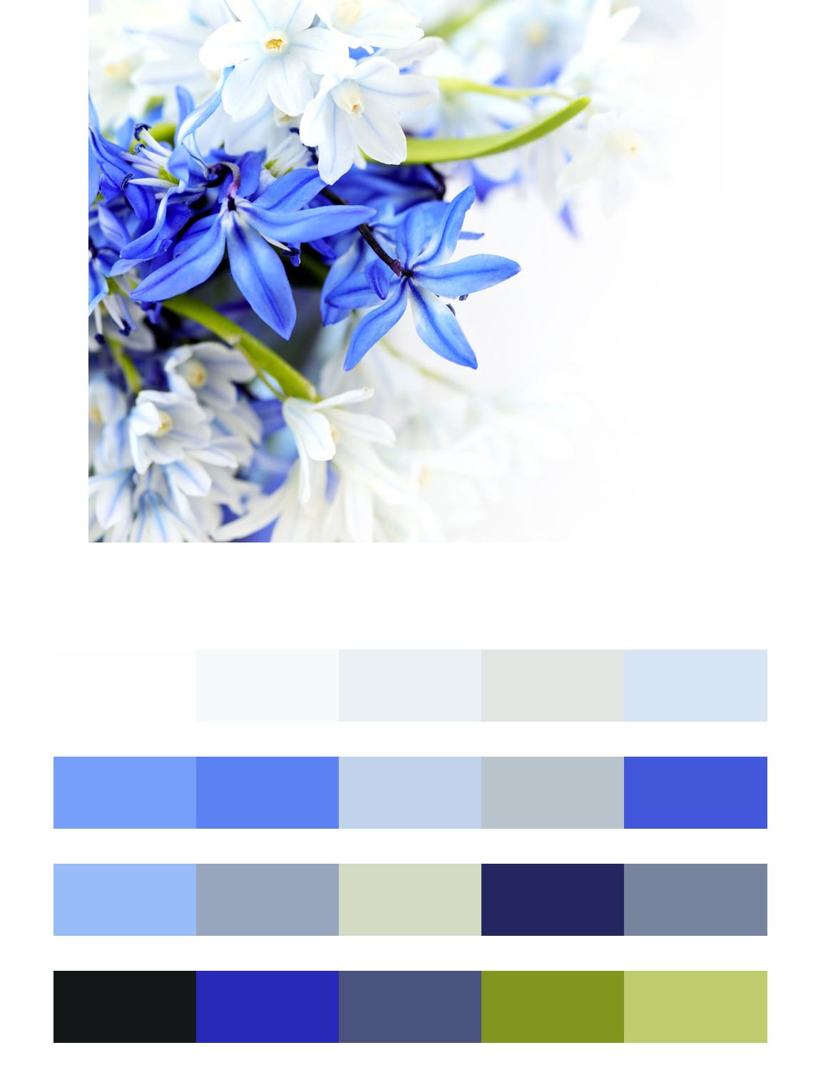 Синие цветы на стену цвета